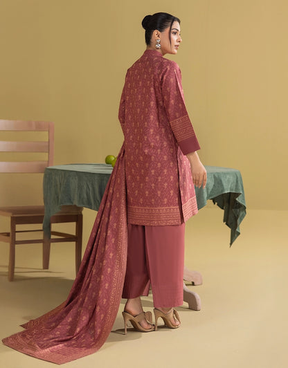 3 Piece - Digitally Printed Dhanak - CL102