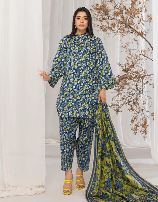 3 Piece - Digitally Printed Khaddar - R117